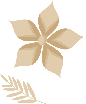 About Us Design Element