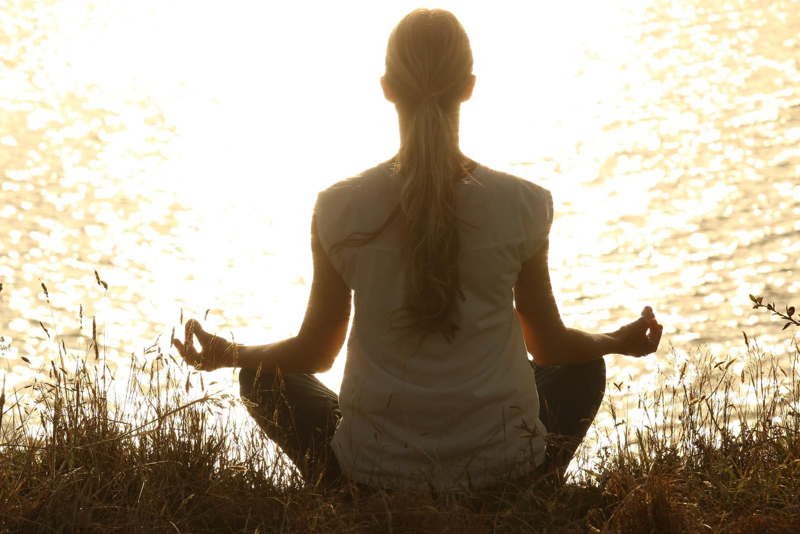 Meditate 1851165 1920